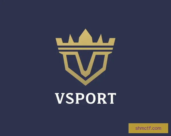 关于VSport